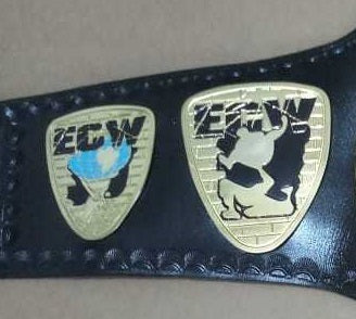 ECW World Television Championship Leather Belt Thick Brass Plated Adult size Replica Belts