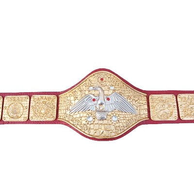 WWWF Pedro Morales Heavyweight Wrestling Champion Belt