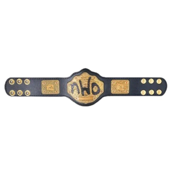 NWO Logo Spray Paint Championship Kids Replica Title Belt