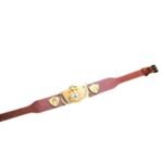 WWWF Nature Boy Buddy Rogers World Champion Belt 1963 Bruno Sammartino